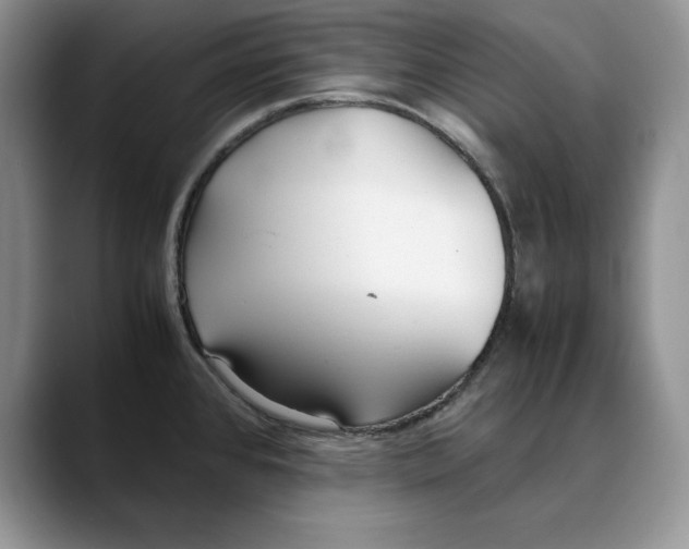X0000088421384200706121425