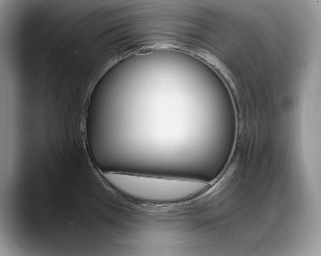X0000088421385200706121425