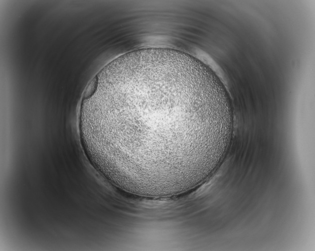 X0000088421386200706121425