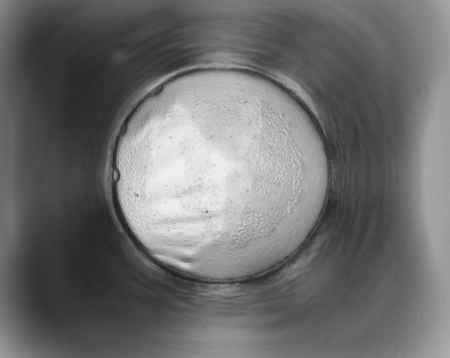 X0000088421387200706121425