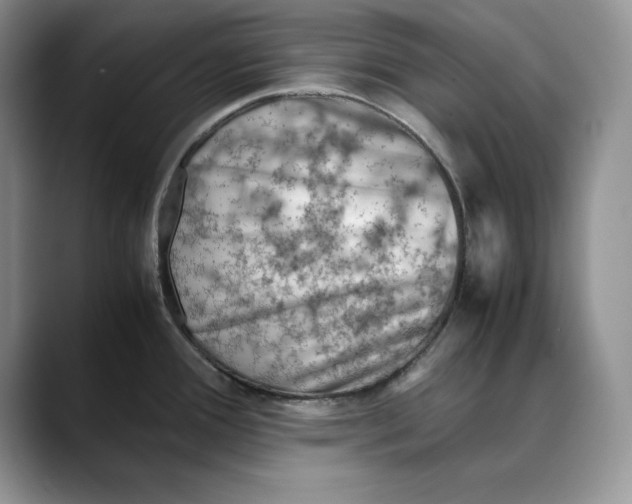 X0000088421388200706121425