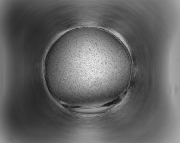 X0000088421389200706121424