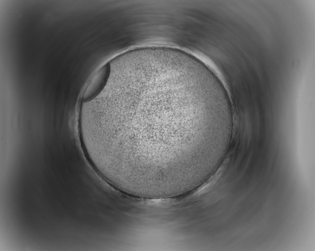 X0000088421390200706121424