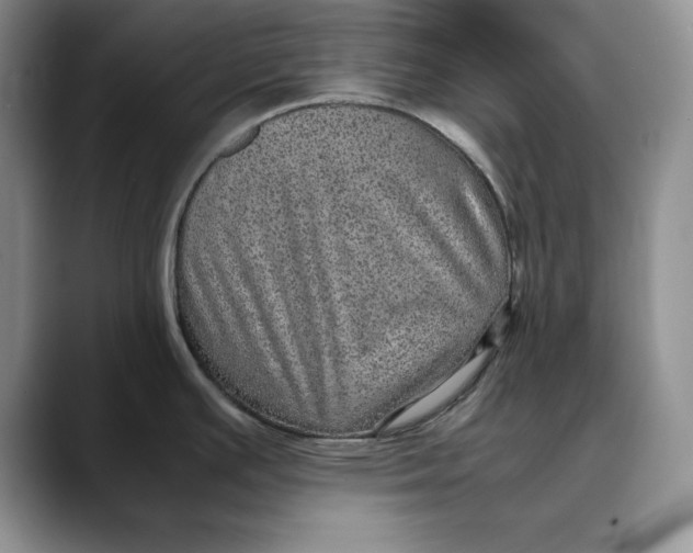 X0000088421391200706121424