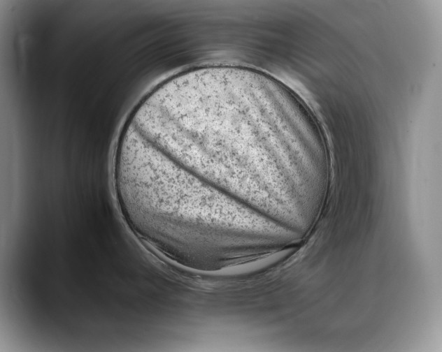 X0000088421392200706121424