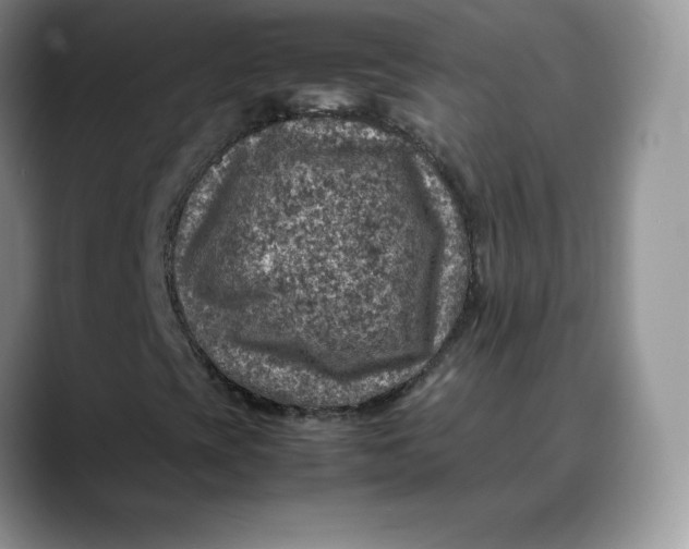 X0000088421393200706121424