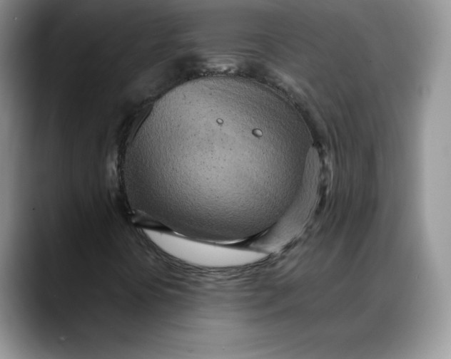 X0000088421394200706121424