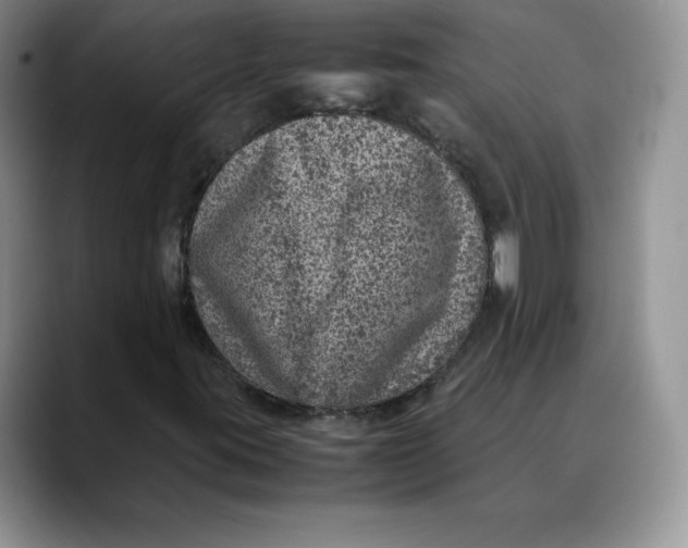 X0000088421395200706121424