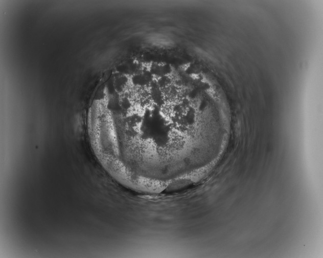 X0000088421397200706121424