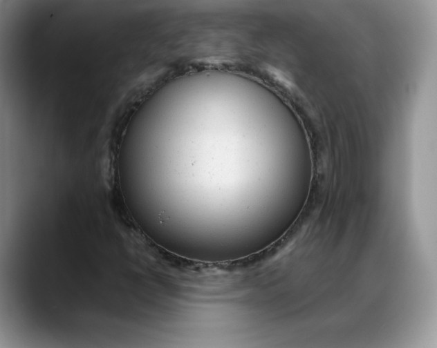 X0000088421398200706121424