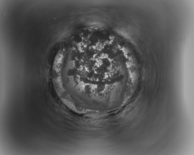 X0000088421399200706121424