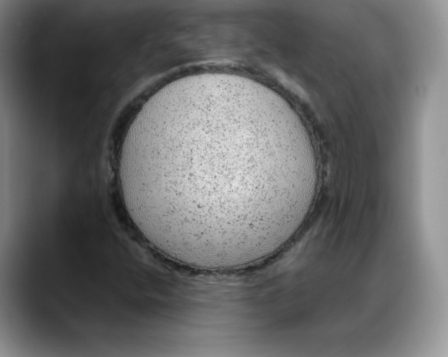 X0000088421400200706121424