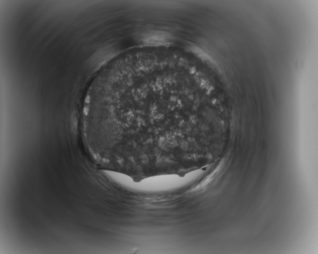 X0000088421401200706121424