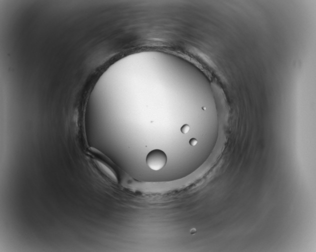 X0000088421402200706121424