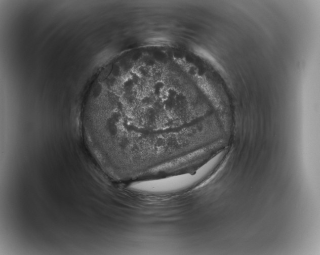 X0000088421403200706121424