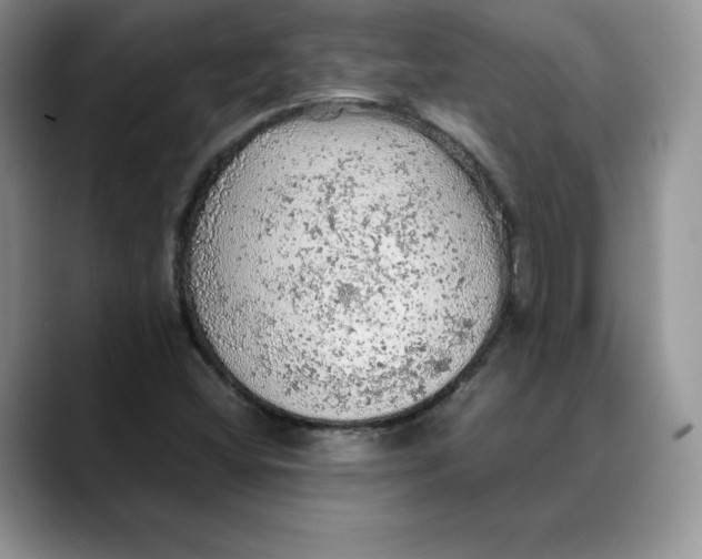 X0000088421404200706121424