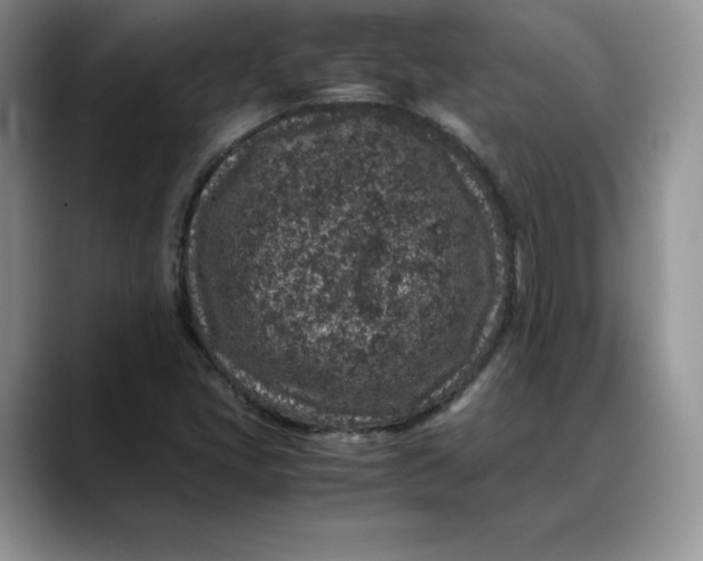 X0000088421405200706121424