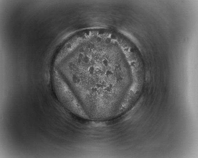 X0000088421407200706121424
