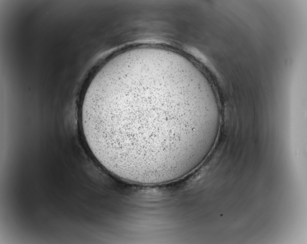 X0000088421408200706121424