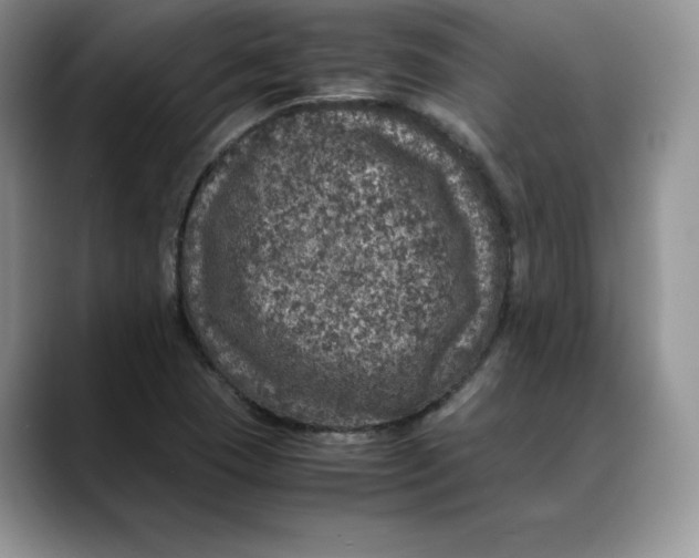 X0000088421409200706121424