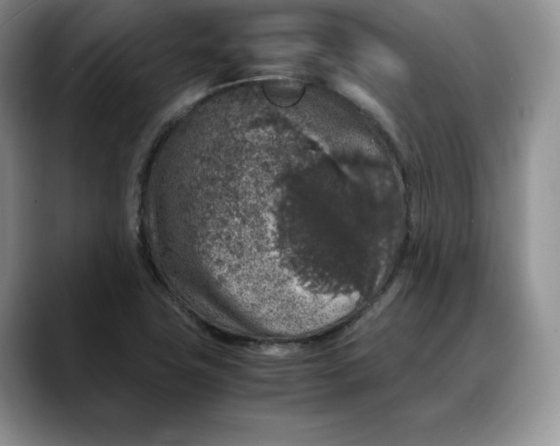 X0000088421411200706121424