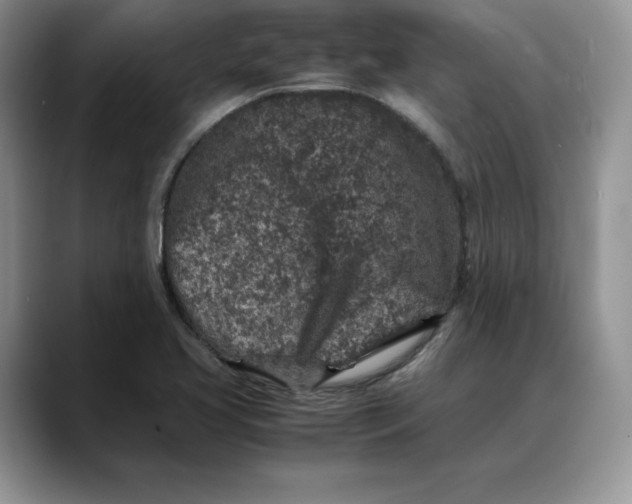 X0000088421413200706121424