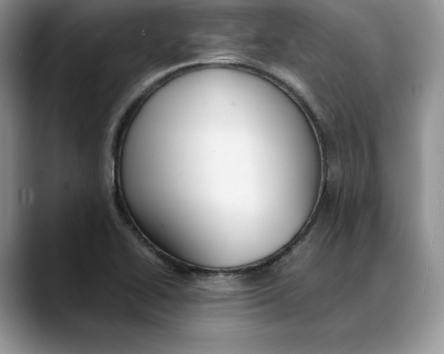 X0000088421414200706121424