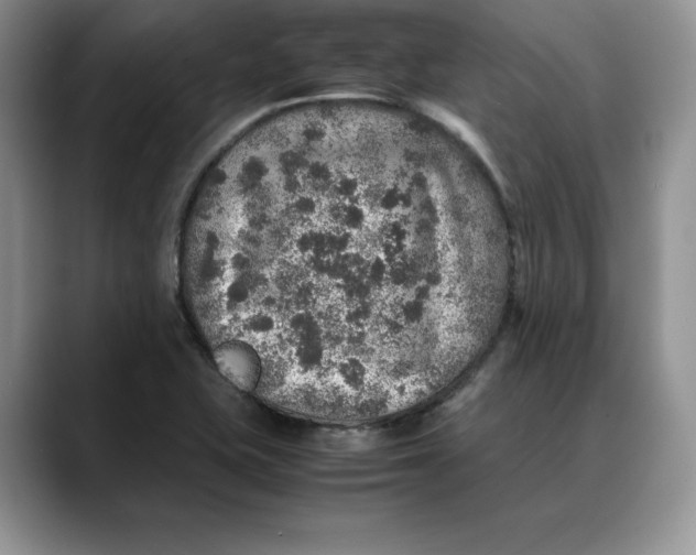 X0000088421415200706121424