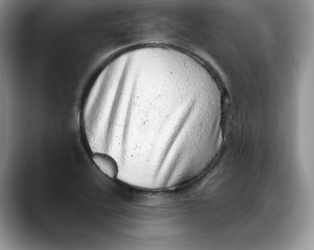 X0000088421416200706121424
