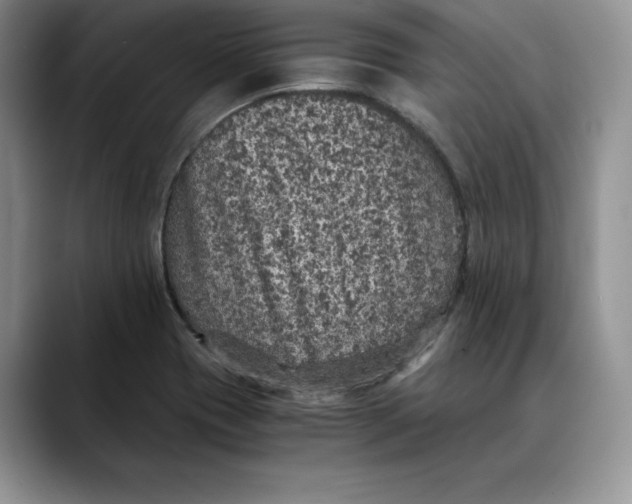 X0000088421417200706121424