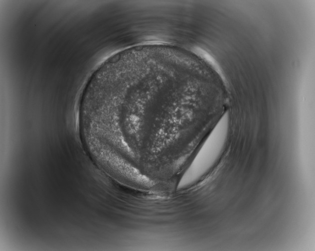 X0000088421419200706121424