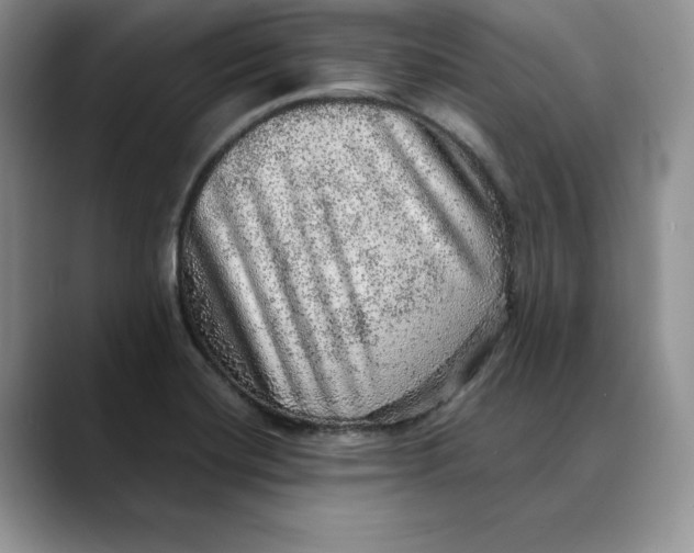 X0000088421420200706121424