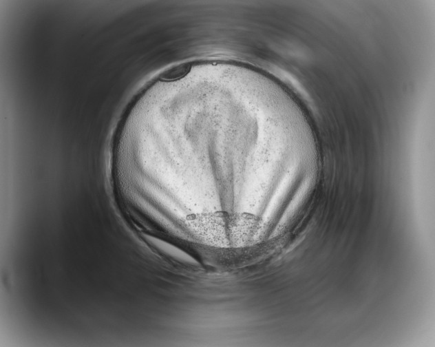X0000088421424200706121424