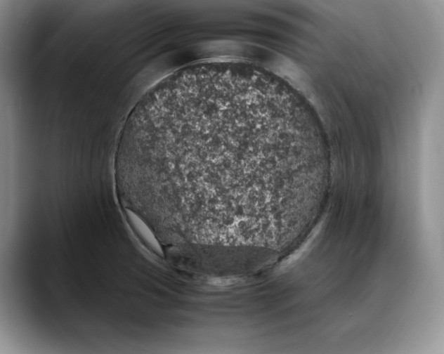 X0000088421425200706121424