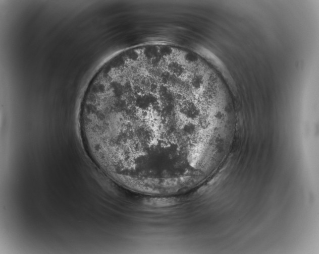 X0000088421427200706121424