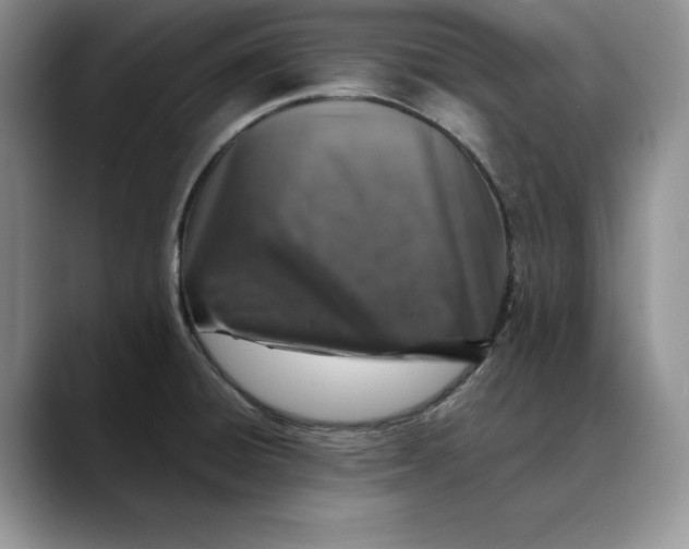 X0000088421428200706121424