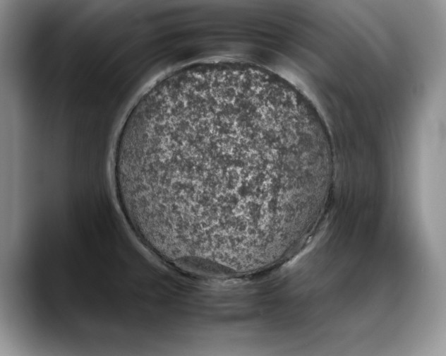 X0000088421429200706121424