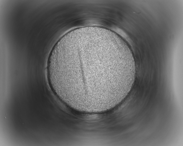 X0000088421431200706121424