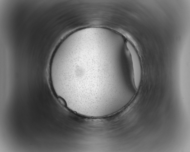 X0000088421432200706121424