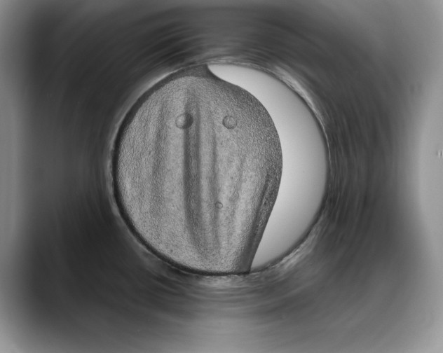 X0000088421434200706121424
