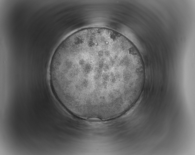X0000088421436200706121424