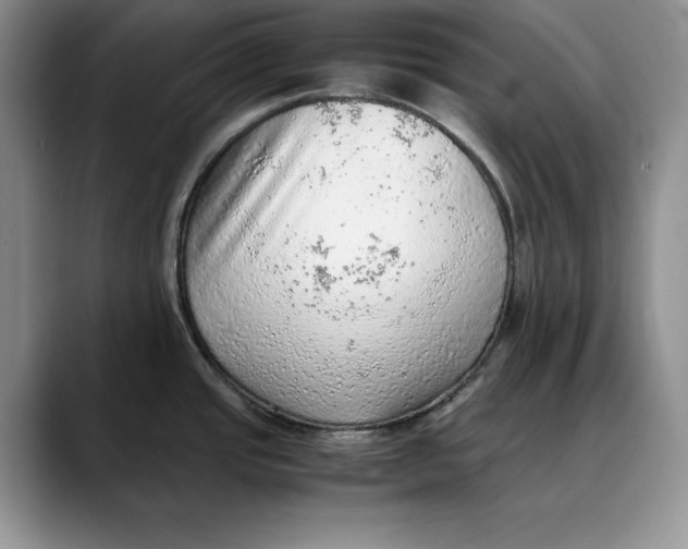X0000088421437200706121424