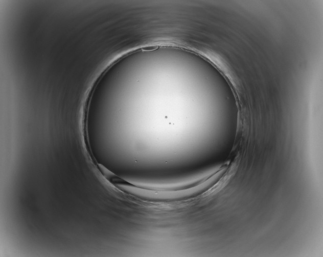 X0000088421438200706121424