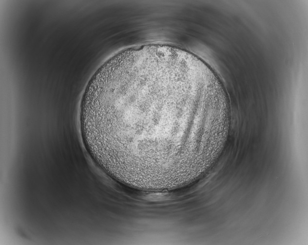 X0000088421439200706121424