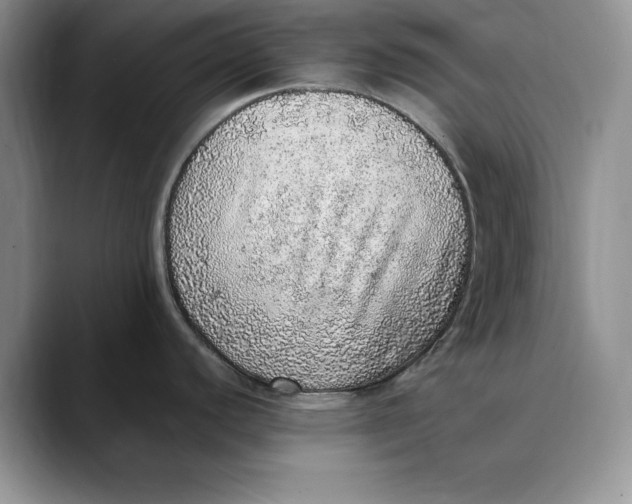 X0000088421440200706121424
