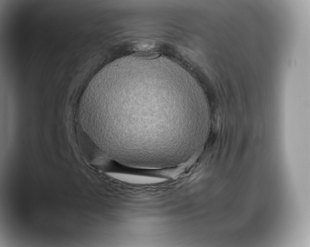 X0000088421441200706121424