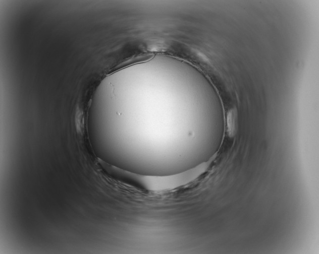 X0000088421443200706121424