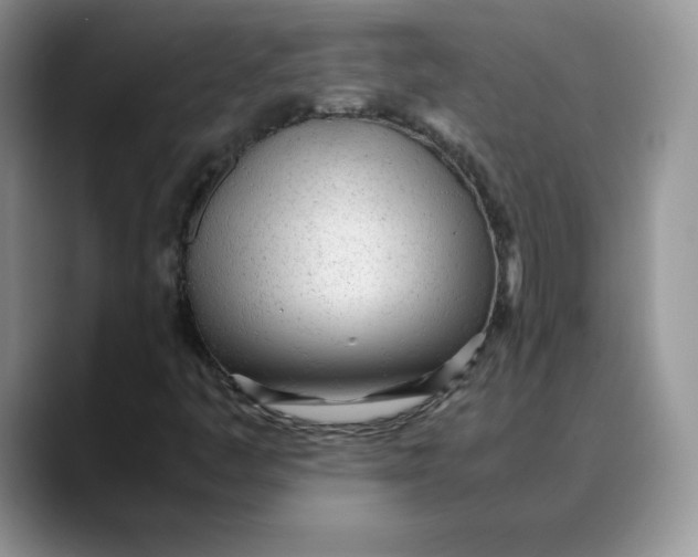 X0000088421445200706121424