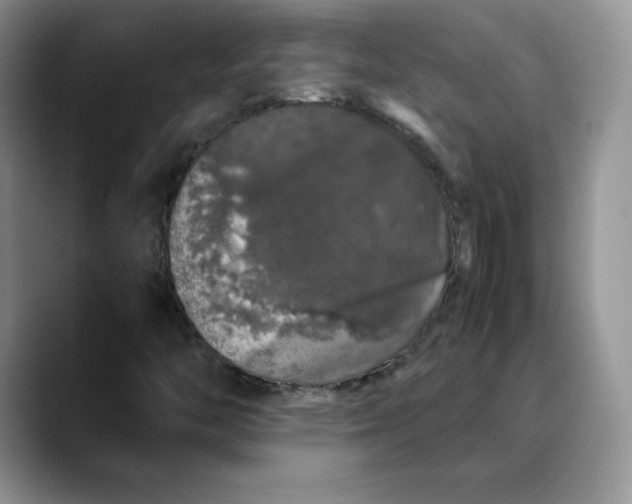 X0000088421446200706121424