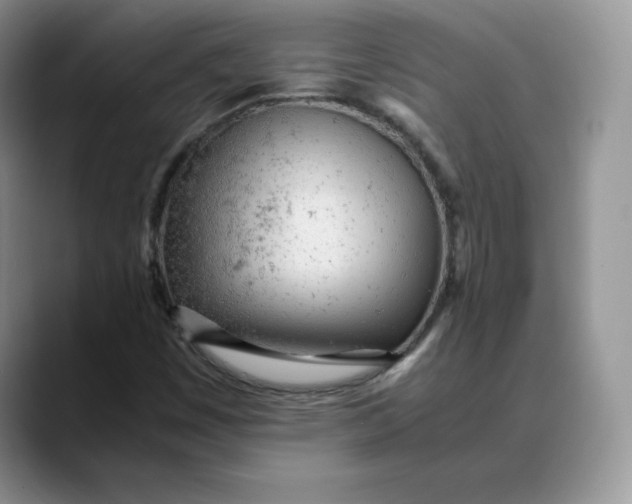 X0000088421449200706121424